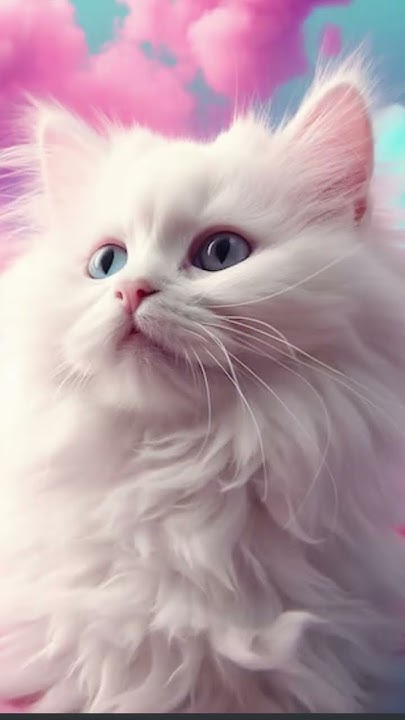 милашные котики😍 - YouTube