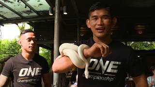 Aung La N Sang & Martin Nguyen Visit Singapore Zoo | ONE VLOG