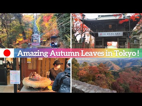 【Mount Takao | Tokyo】Let's Go Hiking & See The Amazing Autumn Leaves!