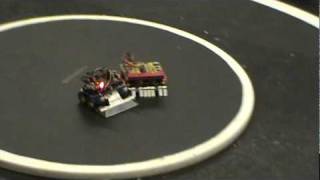 RG11 Cobra minisumo test chassis - match 1/3