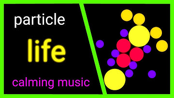 calming particle life simulation