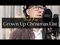 Grown up christmas list  performed by daniel kay