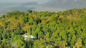 Disease prevention: Stanford researchers find protecting biodiversity can protect human health