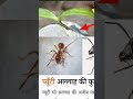 Allah ki kudrat #love #gameskhelkarpaisekai #gameskhelkarpaisekai #funny #home #song