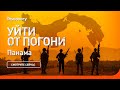 Панама | Уйти от погони | Discovery