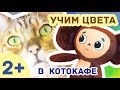Развивающее видео для детей /// ЧЕБУРАШКА - Учим цвета в котокафе // СЕРИЯ 2!