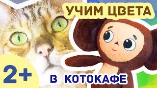 Развивающее видео для детей /// ЧЕБУРАШКА - Учим цвета в котокафе // СЕРИЯ 2!