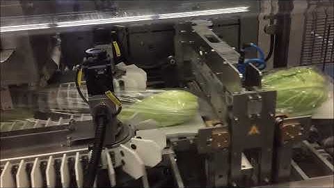 Redpack NTS-BMI flow wrap machine packing pointed cabbages