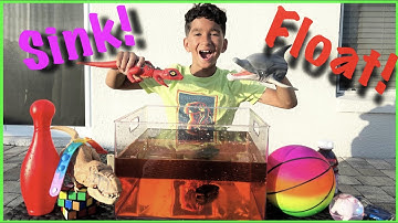 Science Video for Kids Sink or Float DIY Experiments for Learning