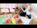 CLEAN + ORGANIZE WITH ME  | CLEANING MOTIVATION | Tara Henderson