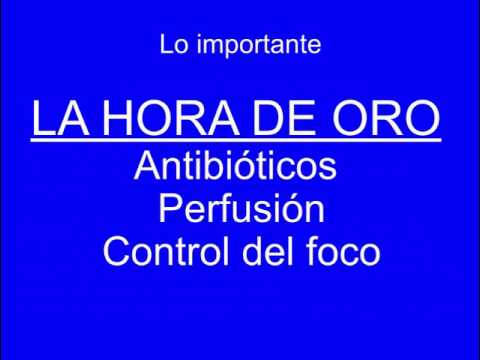 Vídeo: Endotipos Compuestos Para Guiar La Interrupción De Antibióticos En Sepsis