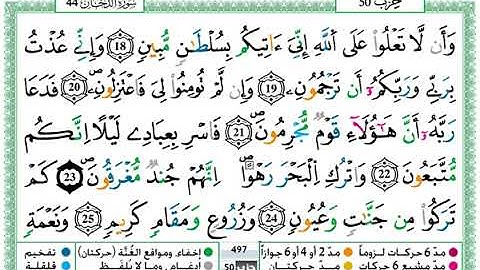 تلاوة خاشعة لسورة الدخان بصوت القارئ حمزة الجزائري