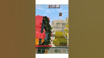 Minecraft, But If you subscribe a random mob spawns....... #shorts