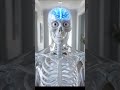 The Dark Side of Laughing Too Hard #skeleton #science #horrorstories
