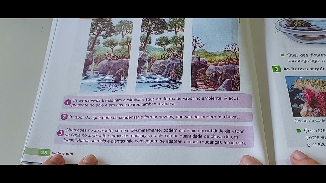 Ciências 4° Ano - Sem. 28 de 27 de Agosto, PDF, Trópicos