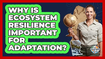 Why Is Ecosystem Resilience Important for Adaptation?