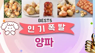양파 이걸 안보면 후회 합니다! 5개의 가성비 갑 아이템 BEST공개