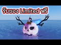 ภารกิจลับกับ Pumpkin King ได้ของ Limited ฟรี! Roblox Fisch