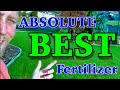 Best fertilizer for a better greener lawn