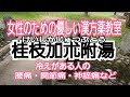 桂枝加朮附湯【腰痛・関節痛・神経痛などに】京都女性漢方まつみ薬局