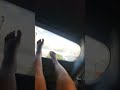 Just walk on a wall