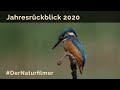 Thomas Stock Naturfilmer Review 2020