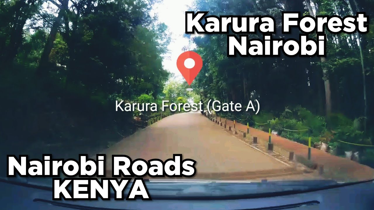 Ep 13 Driving To Karura Forest Gate A Via Limuru Road Nairobi City Roads Kenya Akshatafatnani Youtube Ep 13 Driving To Karura Forest Gate A Via Limuru Road Nairobi City Roads Kenya Akshatafatnani Youtube