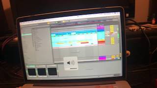 Tandberg Power Amplifier 3003