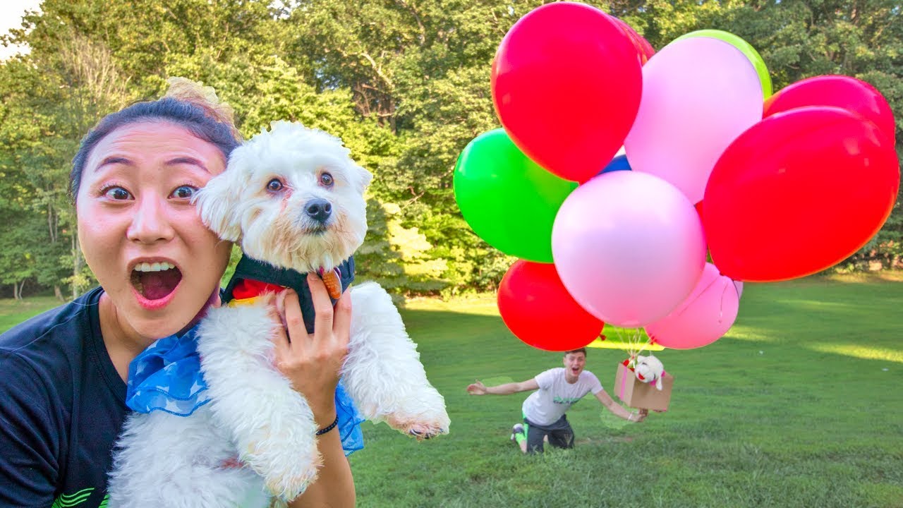 I MADE MY DOG FLY!! YouTube