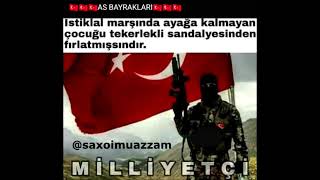 milliyetçi