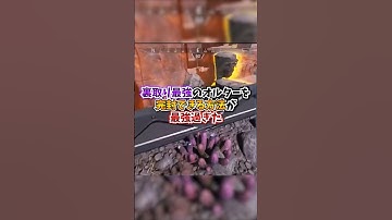 【APEX】悪用厳禁！裏取り最強のオルターを完封出来る方法が最強過ぎたｗｗｗ#apex #apexlegends #gaming #games #fyp #tiktok #おすすめ #shorts