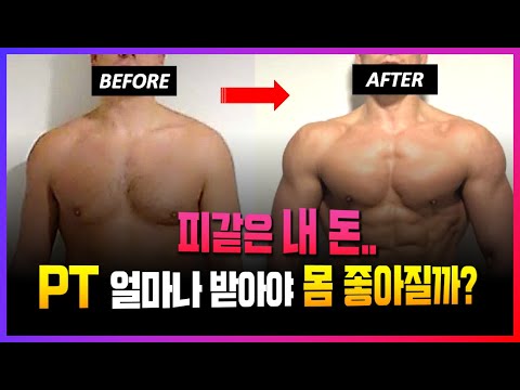   헬스 PT 언제 얼마나 받아야 몸이 좋아질까