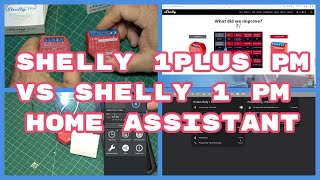 Shelly1Plus PM vs Shely 1PM. Configuración. Home Assistant (#4K)