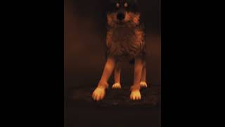 Zsonic Yazması Gerekiyordu Ve Isteyene Edit Yaparım Isteyen Karakterini Fln Yazsın