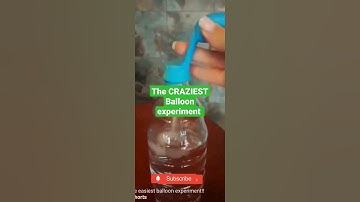 Real or Fake !! CRAZIEST Balloon experiment #Shorts #beatbox #tiktok #kovai360 #experiment #lifehack