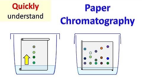 Paper Chromatography