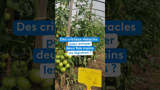 Arroser moins et récolter plus ?
