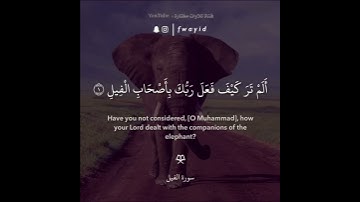 ياسر الدوسري حالات واتساب | سورة الفيل | أُذكُرِ الله يَذكُركَ 🌹❤