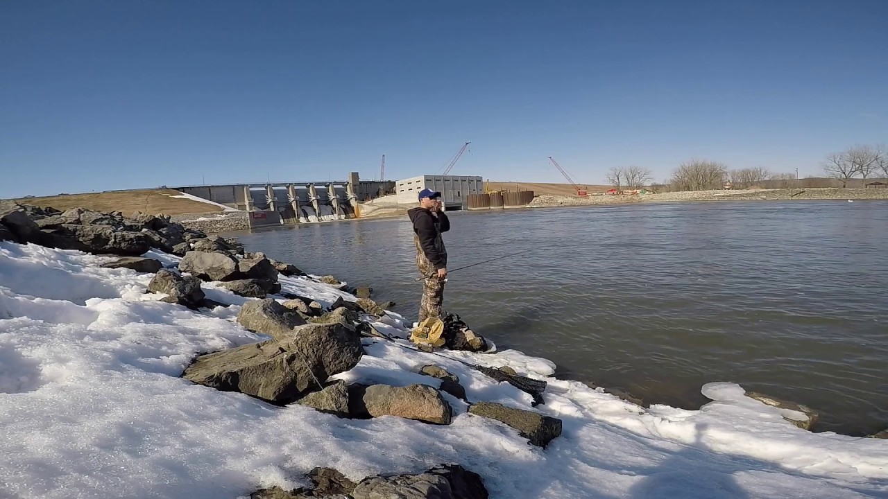 Catfish and Wiper Fishing Below the Dam YouTube