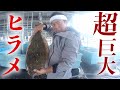【巨大】大きくて肉厚なヒラメが獲れました...！！