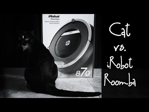 Cat vs. iRobot Roomba 870