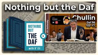 CHAZARAH - Chullin Daf 116 | Nothing but the Daf with R' Eli Stefansky