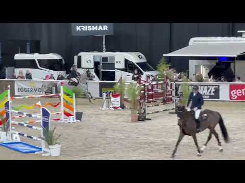 Quiterio Z 140 CSI2* Gent