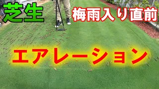 【芝生エアレーション】梅雨入り直前のコアリングデサッチ【今年2回目】