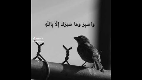 وَاصْبِرْ وَمَا صَبْرُكَ إِلَّا بِاللَّهِ ۚ وَلَا تَحْزَنْ عَلَيْهِمْ #سورة_النحل