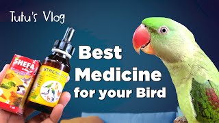 Best Medicine for Your Birds || Tutu Talking Parrots