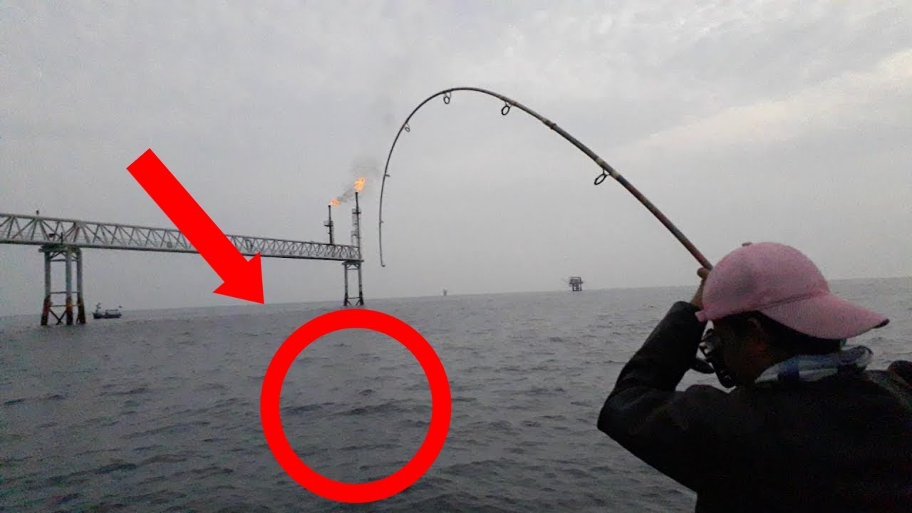 Mancing Baby Gt Anakan Giant Trevally Rockfishing Youtube