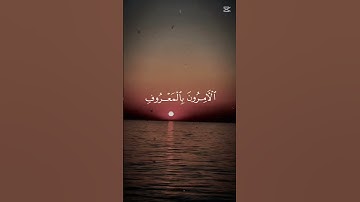 تلاوة رائعة لآيات من الذكر الحكيم