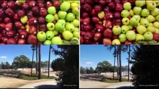 Samsung Galaxy S7 Vs Iphone 6 Plus Camera Test