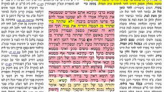 הדף היומי מסכת נידה דף טו Niddah nida daf 15 daf yomi
